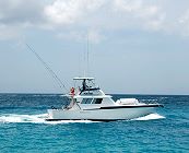 Boat: Mahi Mahi a Hatteras Sportfisherman 42ft
