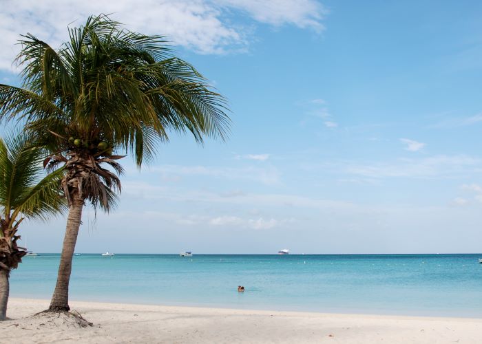 Aruba Palm Beach